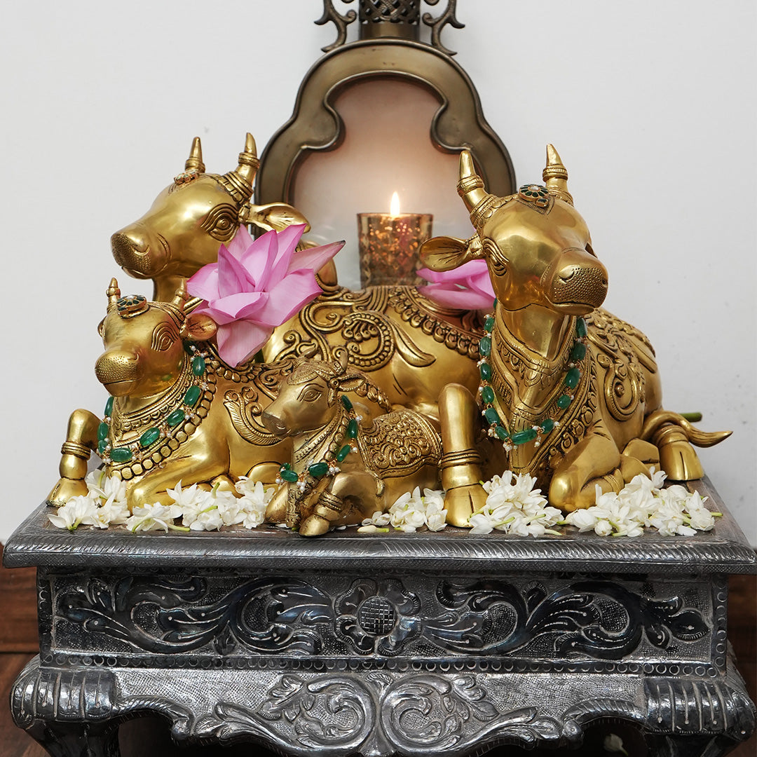 BRASS NANDI