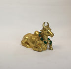 BRASS NANDI