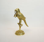 Brass Parrot 6