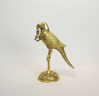 Brass Parrot 1