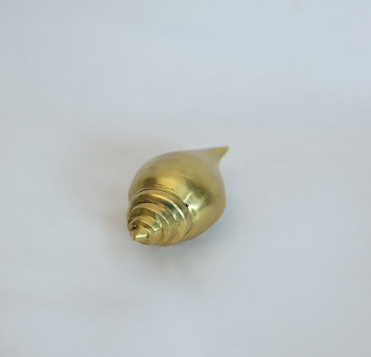 Sankh Conch 1