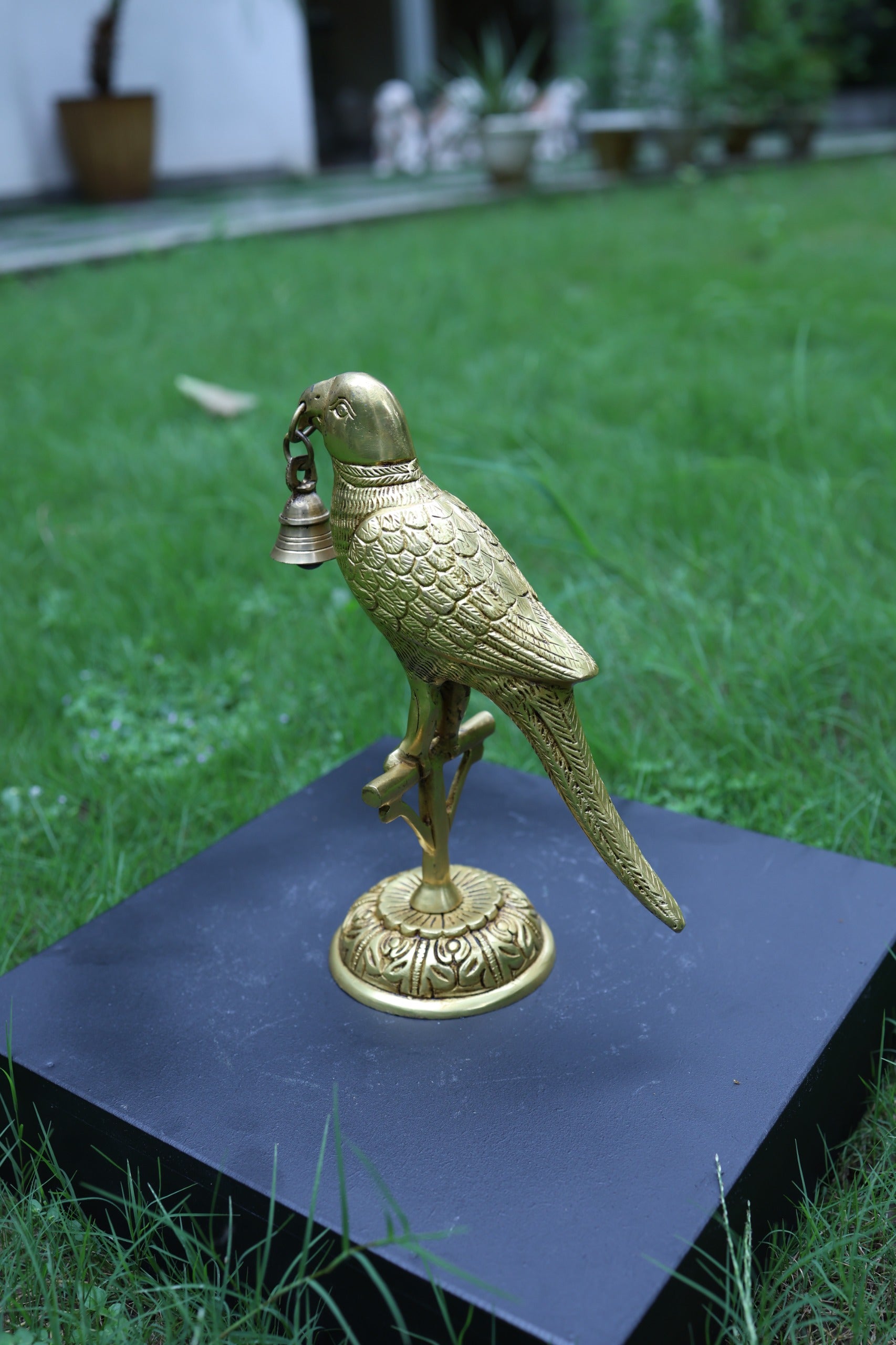 Brass Parrot